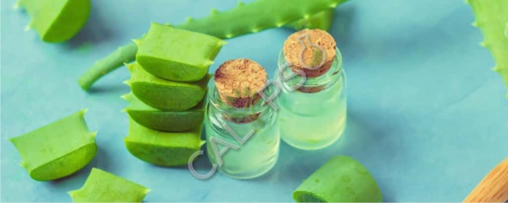 Acquista olio essenziale al 100% puro aloe vera per la pelle